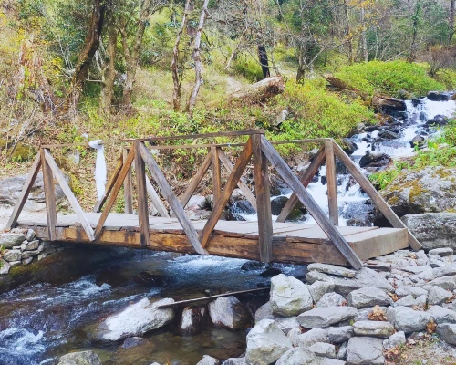 Bridge In Langtang Valley