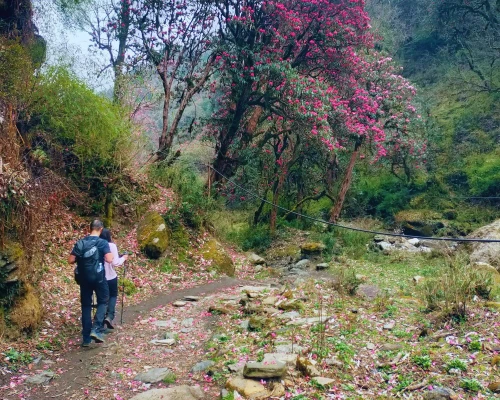 Crossing Banthati