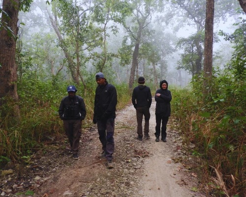 Guest Enjoing Safari In The Jungle