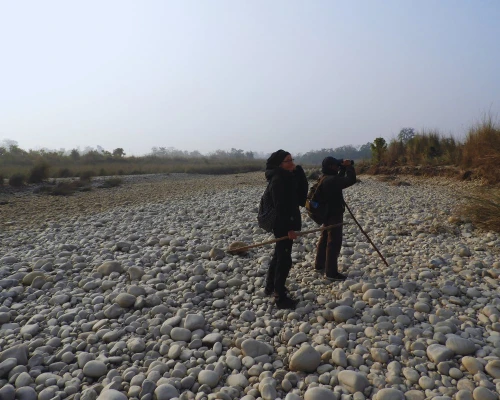 Our Guest Enjoying The Safari
