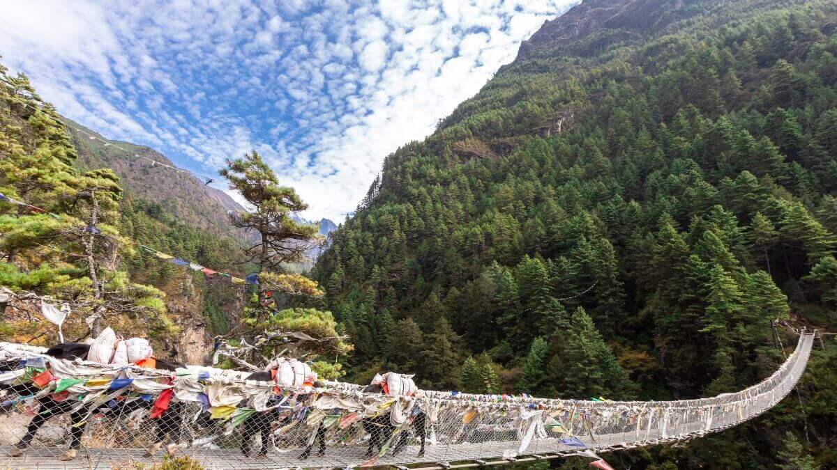 spring-everest-route