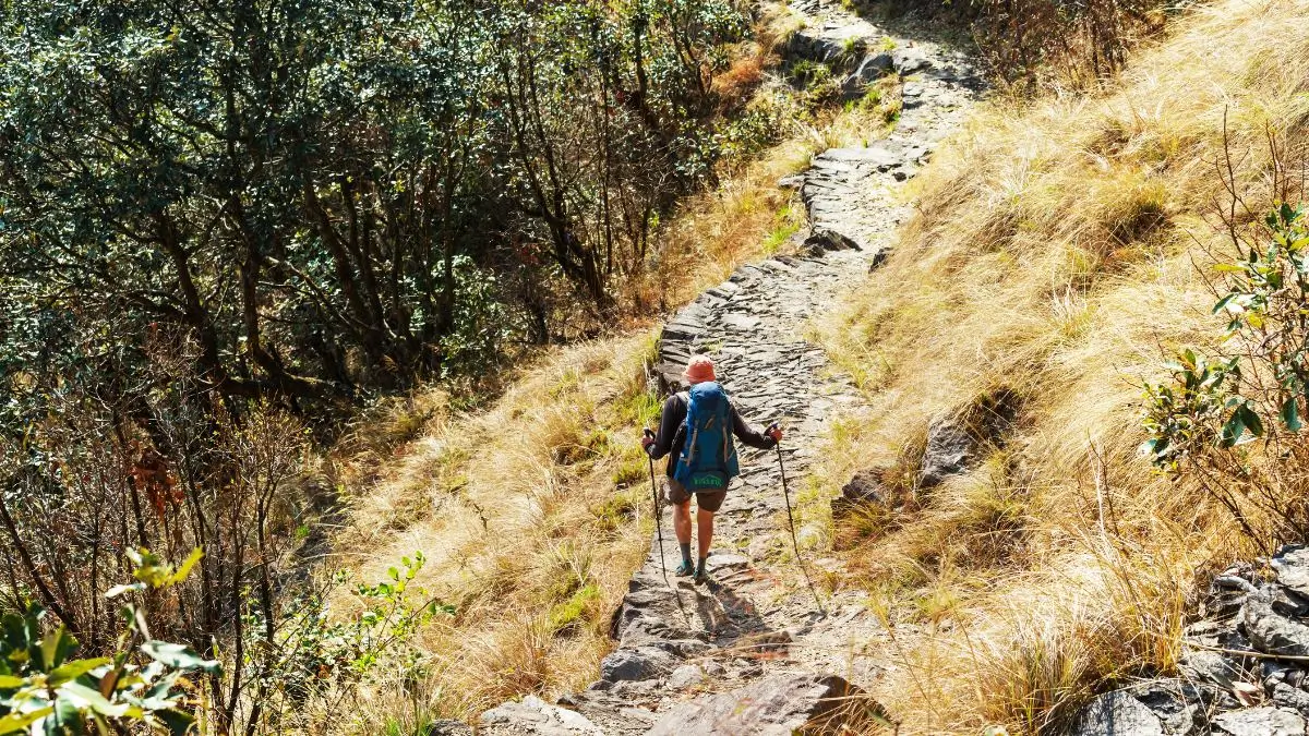 trekking in nepal jungle
