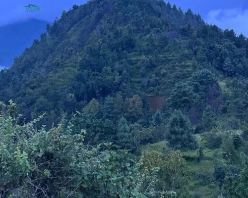 Hill View During Bilthali Hike