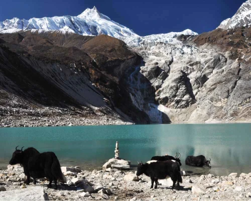 Manaslu Circuit Short Trek Days 