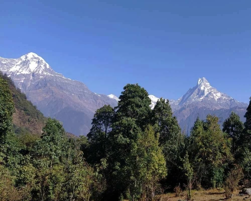 Mountain View Annapurna Region