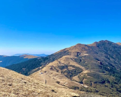 Trail Way Of Pikey Peak